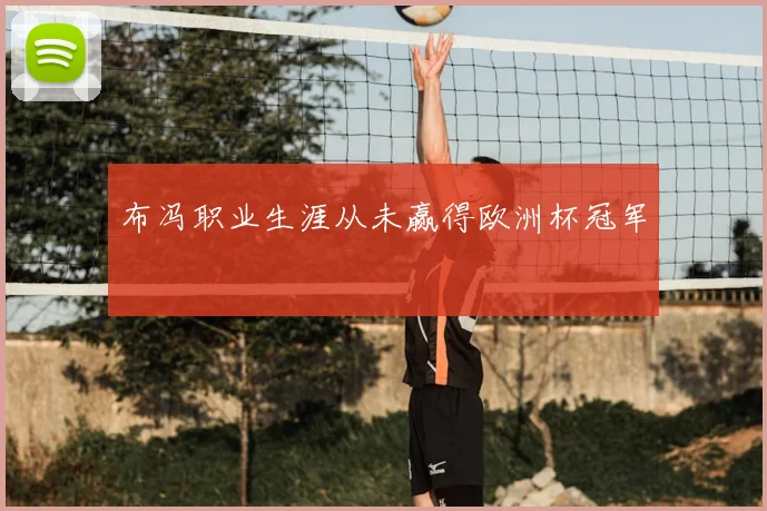 布冯职业生涯从未赢得欧洲杯冠军