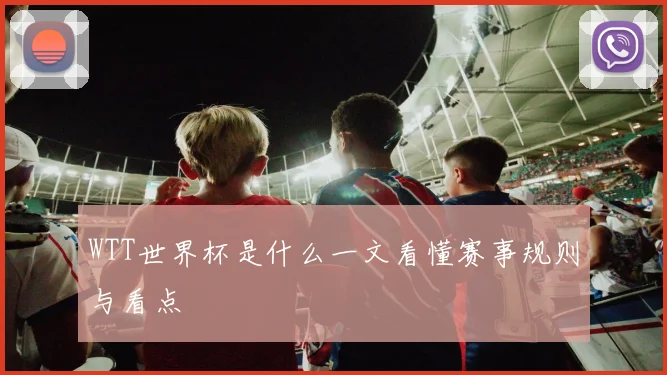 WTT世界杯是什么一文看懂赛事规则与看点