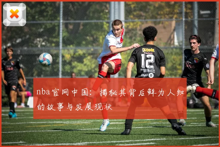 nba官网中国：揭秘其背后鲜为人知的故事与发展现状