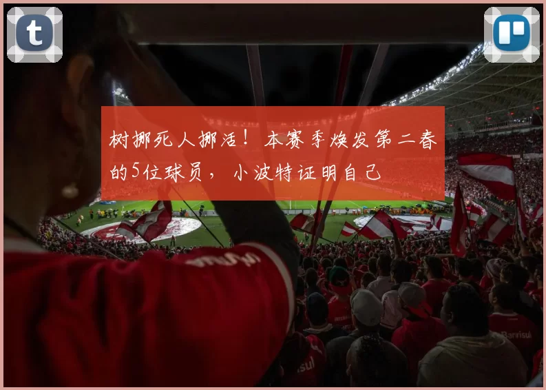 树挪死人挪活！本赛季焕发第二春的5位球员，小波特证明自己