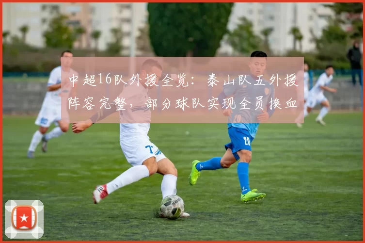 中超16队外援全览：泰山队五外援阵容完整，部分球队实现全员换血_山东泰山_赛季_维奇
