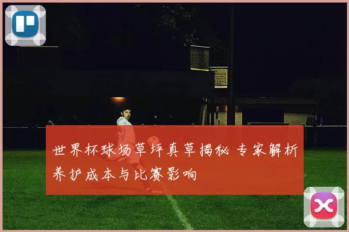 世界杯球场草坪真草揭秘 专家解析养护成本与比赛影响
