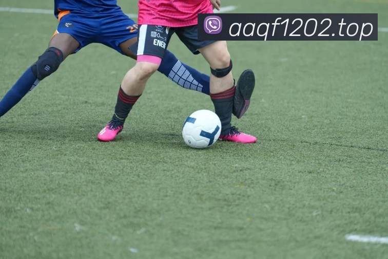 kaiyun「中国大陆」云开·门户网站 - 官方网站|登录入口平台生态图